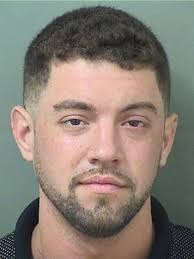 DUI, Hit And Run Charges Filed Against Delray's Eric Lamson