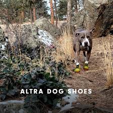 Animals, dog, doge, retro style, new retro wave. Altra Dog Shoes