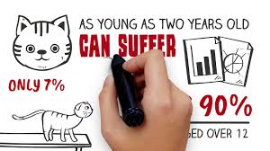 For example, spaying your cat prevents: How Can I Tell If My Cat Is In Pain