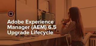 After executing compaction the repository size has been reduced from 19 gb to 2.69 gb. 8 Tips For A Smooth Upgrade To Adobe Experience Manager 6 5