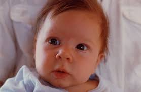 My Inspiration — Amarinalevin Handknits