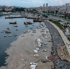 Istanbul, the largest city, is the financial centre, and ankara is the capital. Istanbul Schleimige Masse Verseucht Marmarameer In Der Turkei Welt