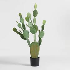 If space is limited, choose smaller species, such as hardy prickly pear (opuntia humifusa), which grows in usda zones 5 through 10 or beavertail cactus (opuntia basilaris), which reaches 2 feet tall and 4 feet wide in usda. Faux Prickly Pear Cactus Plant Faux Cactus Cactus Plants Cactus