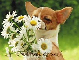 images