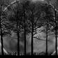JAV Ghost Tour