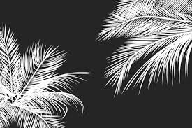 Sounds perfect wahhhh, i don't wanna. Tumblr Black And White Wallpapers Top Free Tumblr Black And White Backgrounds Wallpaperaccess