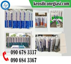 MUA SỈ KEO APOLLO SILICONE Ở ĐÂU GIÁ RẺ NHẤT TP HCM?