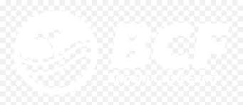Bch logo primary full (png) vector (svg) bch logo white text full (png) vector (svg) Download Bitcoin Cash Logo Png Graphic Design Free Transparent Png Images Pngaaa Com