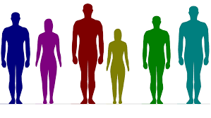 身長と性別を入力すると複数の人の体型の差を並べて表示してくれる「Comparing Heights」 - GIGAZINE
