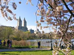 Que Hacer En Abril En Nueva York Central Park En Primavera Nueva York Turismo Viajes A New York Nueva York