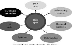 Pdf Chapter 17 Herbs And Spices In Cancer Prevention And Treatment Semantic Scholar