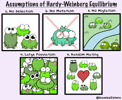 The Amoeba Sisters Photo Teaching Biology Biology Teacher Biology Resources