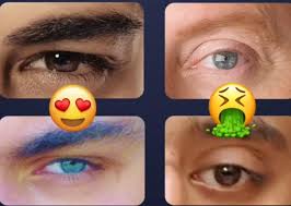 Il suo naso è freddo. Le 6 Caratteristiche Degli Occhi Belli Foto E Spiegazione Il Redpillatore