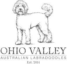 Check spelling or type a new query. Ohio Valley Labradoodles