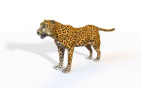 Leopard Rigged In 2020 Leopard 3d Model Low Poly Models