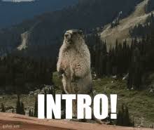 Introduction GIFs | Tenor