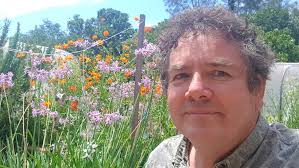 Noosa council backflips