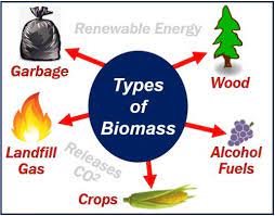 Plant Materials And Animal Waste Used As Fuel Animal West
