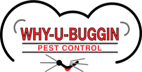 Our licensed pest exterminators in colorado springs will customize a pest control treatment plan based on the. Why U Buggin Pest Control Colorado Springs 7193104200