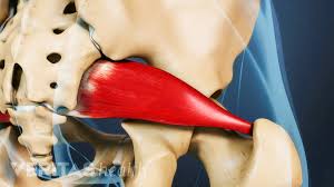 Strong glutes support the lower back. What Is Piriformis Syndrome