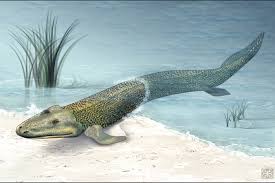 Fish really do dominate the oceans during this time period but it is misleading. Devonian Period Climate Animals Plants Live Science