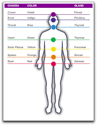 chakra with respecitve glands and color chakra chakra