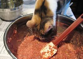 Whether you're on a tight budget or feeding a cat with food intolerances, there's a great option available for you. Feline Nutrition S Easy Homemade Cat Food Recipe