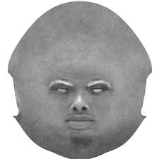 SKin and Facail morph Help