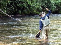 fly fishing deep creek in great smoky mountains