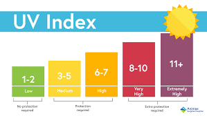 The uv index is a measure of the intensity of ultraviolet (uv) rays from the sun. The Uv Index And Why You Should Care About It Animas Surgical Hospital