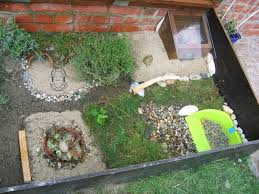 epingle sur tortue