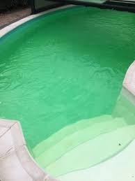 The company offers granules, robots, brooms, pumps, chemical, pebbles, and other related goods. Algues Moutarde Traitement Mareva