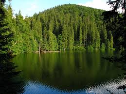 Створений з метою зібрати в одному місці та довести до широкого кола громадськості інформацію щодо природних об'єктів та флори і фауни україни. Fotografii Ukraina Zakarpate Oz Sinever Priroda Reka