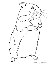 Elles sont très affreuses et adorent être caressées. Epingle Sur Coloriages Animaux Domestiques
