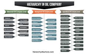Hierarchy In Oil Company Oil Company Company Structure Hierarchy