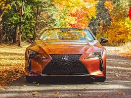 Image result for Cadmium Orange 2022 LC