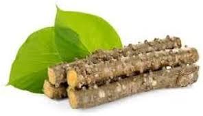 Image result for Tinospora fragosa