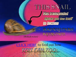 Anything For You Mr Snail Stupid Memes Bad Memes Funny Memes