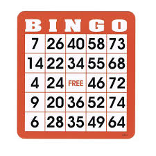 Reusable Bingo Cards Pkg 100 Bingo Cards Bingo Bingo Sheets