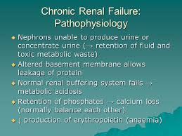 The underlying basis of renal injury appears to be impaired energetics of the highly metabolically active nephron segments (i.e., proximal tubules and thick ascending limb) in the renal outer medulla, which can trigger conversion from transient hypoxia to intrinsic renal failure. Adult Medical Surgical Nursing Renal Module Chronic Renal Failure Ppt Download
