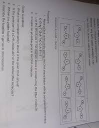 Given the information from the dna profile in the diagram, determine which baby belongs to each set of parents. Activity 4 Where Could I Find You Need Help Brainly Ph