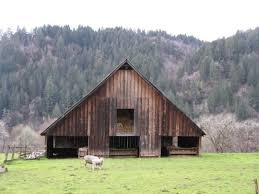 Sheep And Barn Barn Farmcore Mp Sheep Goruntuler Ile