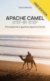 Some people think that travelling by plane is very comfortable and convenient. Apache Camel Tutorial Tom Donohue