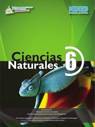 Libro de sexto grado ciencias naturales es uno de los libros de ccc revisados aquí. Libro De Texto De Ciencias Naturales 6to Grado Mined Edicion En Pdf 2014 Cerebro Testiculo