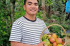 Adam is disobedient, because he ate fruit from the forbidden tree, while jesus is obedient, allowing himself to be nailed to a cross, the tree of calvary, to atone for adam's sin. Digos Farmer Grows Fuji Apples At Foot Of Mt Apo Mindanews