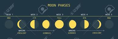 Vector Illustration Of Informative Chart Of Monthly Moon Cycle