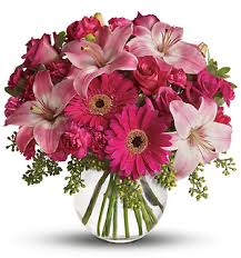 Maybe you would like to learn more about one of these? Just Because Flower Delivery Bensalem Pa Bensalem Flowers Bensalem Pa Just Because Flowers