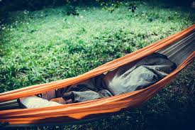 And hammocks have been popular for a very long time—anthropologists say at least 1,000 years!! Why Tree Hammocking Is Not Allowed In Denver S Parks 5280