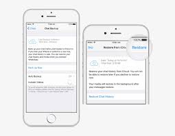 Restore Whatsapp Backup Whatsapp Chat On White Iphone Transparent Png 640x569 Free Download On Nicepng