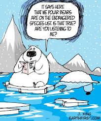 We Are Causing Climate Change And Consequently The Extinction Of Certain Species We Need To Preserve The Planet For Fut Polar Bear Extinction Polar Bear Polar